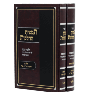 תמצית-הדמיה