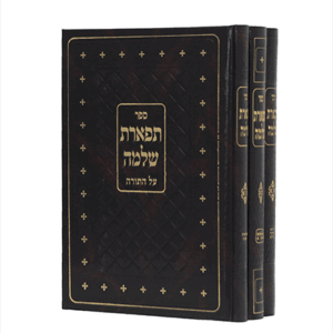 תפארת-גכ-הדמיה