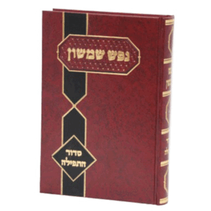 תפילה-הדמיה