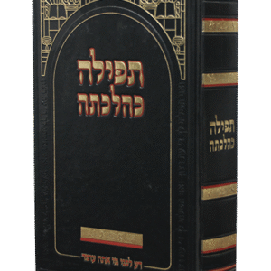 תפילה-כהלכתה-2