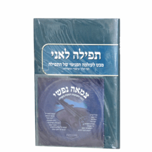 תפילה-לאני-הדמיה