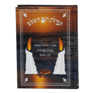 תפילת-חנה-הדמיה