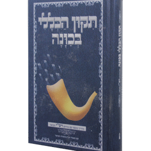 תקון-הכללי-בכוונה