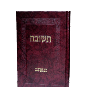 תשובה-הדמיה