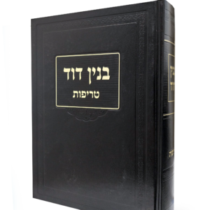 בנין דוד - לאתר