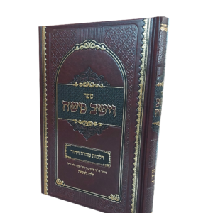 וישב משה לאתר