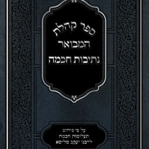 קהלת תמונה - אבי קלנר