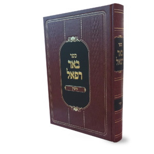 באר רפאל גיטים - הדמיה