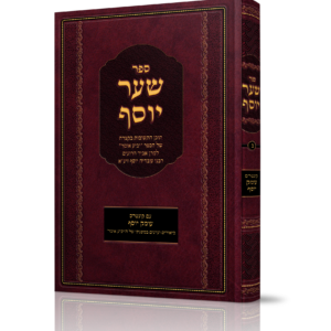 הדמיה שער יוסף חלק ב