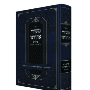 משירי אהודנו - הדמיה4 (1)