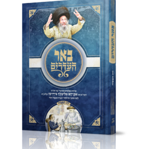 באר העדרים - הדמיה