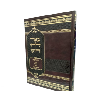 באר לחי רועי