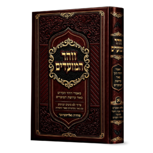 זוהר המועדים - הדמיה (1)