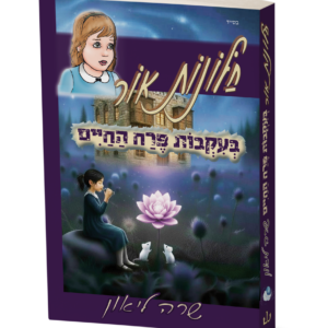 חלונות אור 11 - הדמיה רקע שקוף