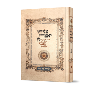 מגדיו הגדה -הדמיה (1)