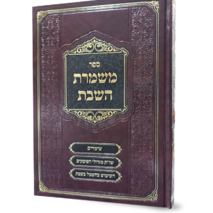 משמרת השבת - הדמיה