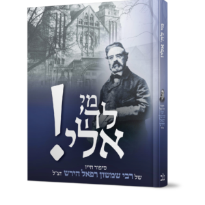 מי לה אלי