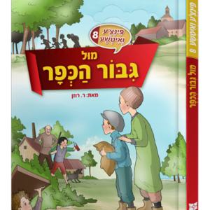 פינצע 8 הדמיה