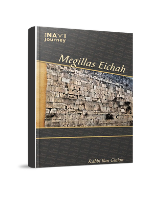 navi-journey-eichah