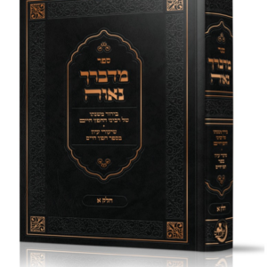 מדברך נאוה בירור משנתו של רבינו החפץ חיים
