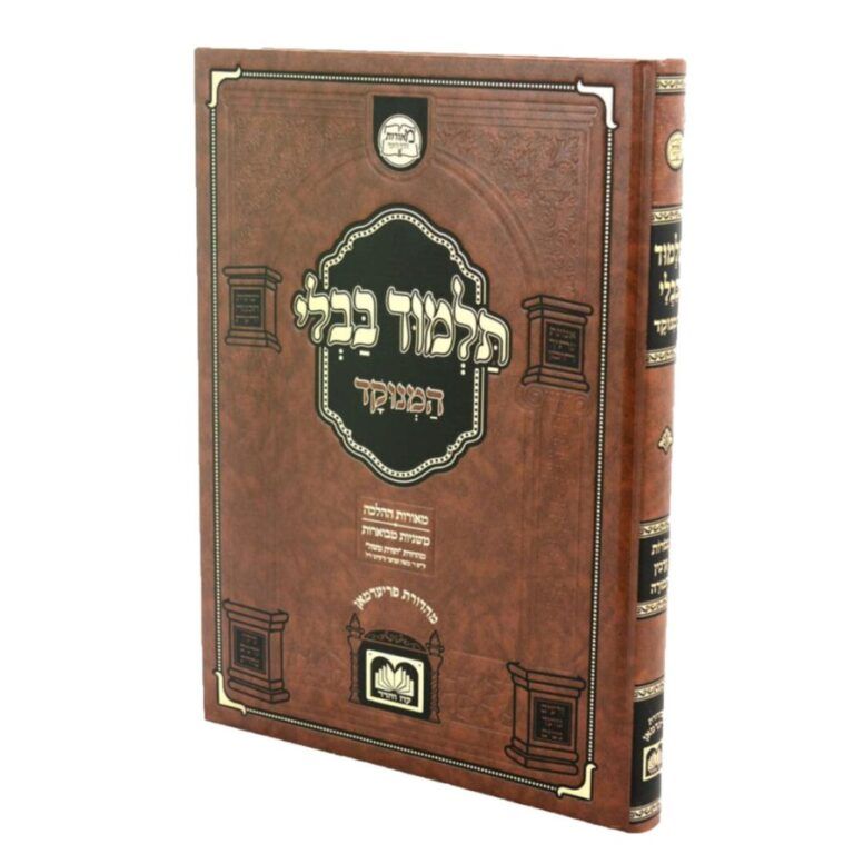 גמ בכורות ערכין תמורה מנוקד מאורות הדף היומי