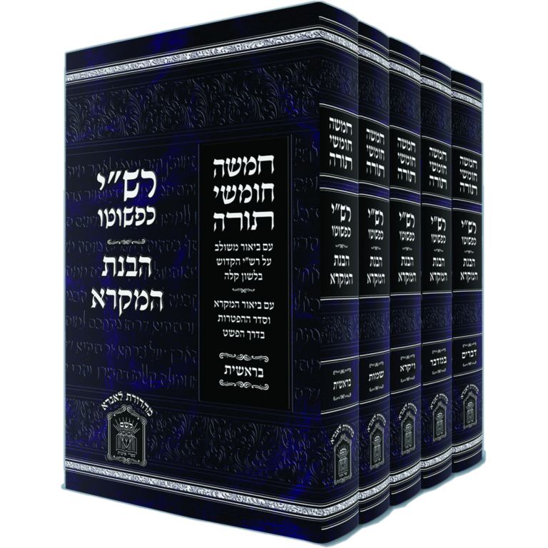 רש"י כפשוטו הבנת המקרא סט גדול
