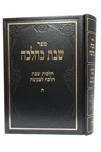 שבת כהלכה חלק ה