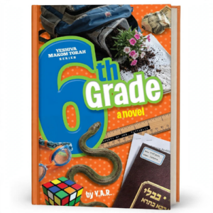 6th Grade A Novel