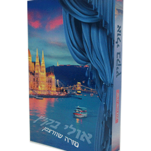 אולי בקיץ — עותק לבדיקה