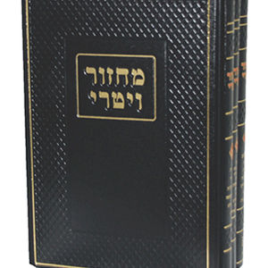מחזור ויטרי — עותק לבדיקה