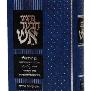 בהגיגי תבער אש — עותק לבדיקה