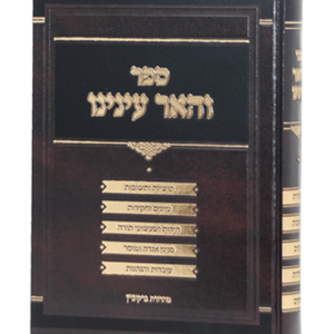 והאר עינינו — עותק לבדיקה