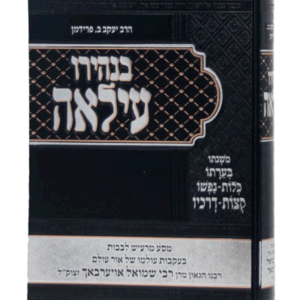 בנהירו עילאה — עותק לבדיקה