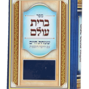 ברית עולם — עותק לבדיקה