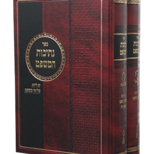 נתיבות המשפט דזימיטרובסקי סט — עותק לבדיקה