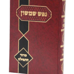 נפש שמשון תפילה — עותק לבדיקה