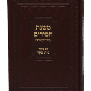 משנת חסידים בית שער — עותק לבדיקה