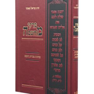 פרקי מחשבה נסיונות ואחרית הימים — עותק לבדיקה