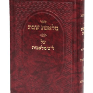 מלאכת שבת — עותק לבדיקה