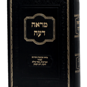 מראה דעה — עותק לבדיקה
