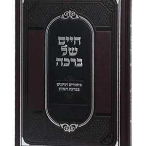 חיים של ברכה — עותק לבדיקה