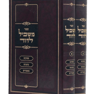 משכיל לדוד — עותק לבדיקה