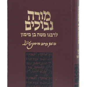 מורה נבוכים — עותק לבדיקה