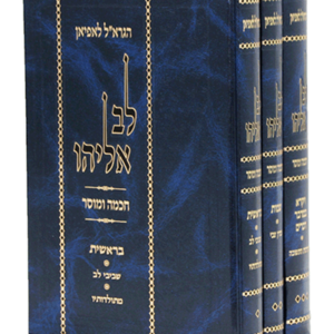 לב אליהו — עותק לבדיקה