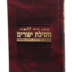 מסילת ישרים — עותק לבדיקה