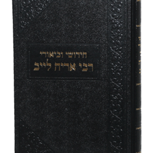 חידושי וביאורי רבי אריה לייב — עותק לבדיקה