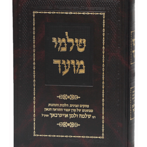 שלמי מועד — עותק לבדיקה