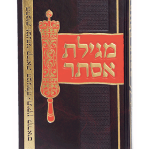 מגילת אסתר — עותק לבדיקה