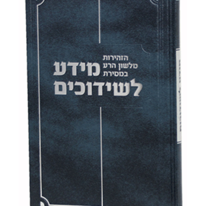 מידע לשידוכים — עותק לבדיקה