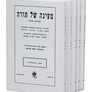 מעיינה של תורה — עותק לבדיקה